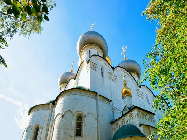 러시아 모스크바 노보데비치 수녀원 스몰렌스크 대성당 — 스톡 사진