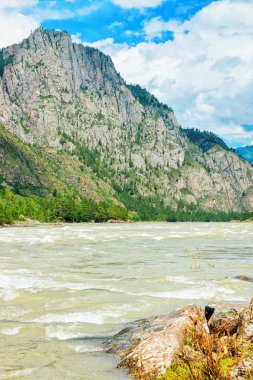 Altay Dağları ve Rusya'nın Sibirya nehirde Katun doğası