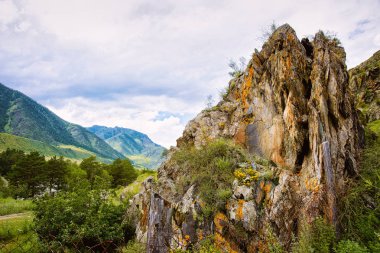 Rusya'nın Sibirya Altay Dağları doğası