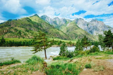 Doğa ile Altay Dağları ve Rusya'nın Sibirya nehirde Katun