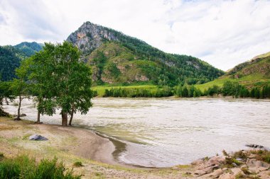Altay Dağları ve Katun nehir, Rusya'nın Sibirya doğası