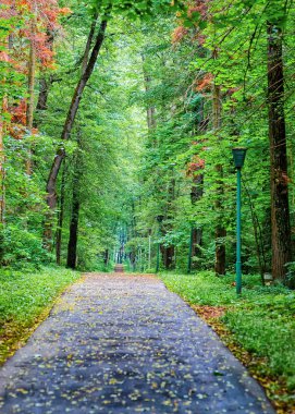 Voronovo, Moscow region, Rusya Federasyonu parkta yolundaki