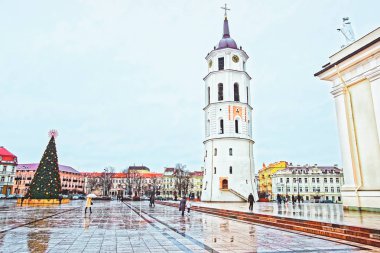 Katedral Meydanı ve Noel ağacı Vilnius Litvanya.