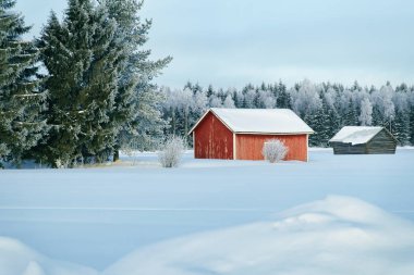 Noel'de Lapland Finlandiya'da, yazlık ev ve karlı kış