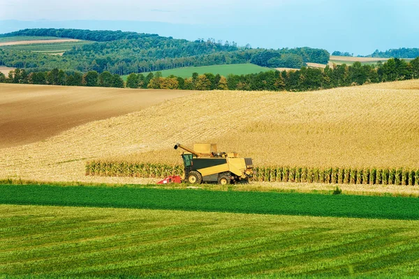 Kombinere Høstingsarbeid Landbruket Jordet – stockfoto