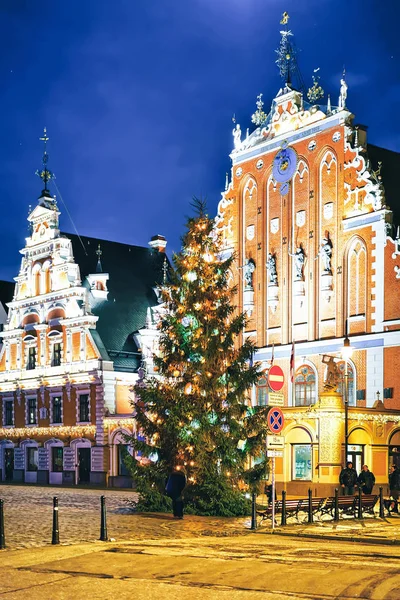 ラトビア 2015 家の黒ずみや冬にラトビアのリガで市庁舎広場のクリスマス ツリー 夜遅くに — ストック写真