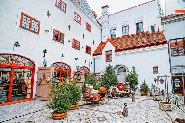 Calle Decorada Con Árboles Navidad Riga Letonia Invierno — Foto de Stock