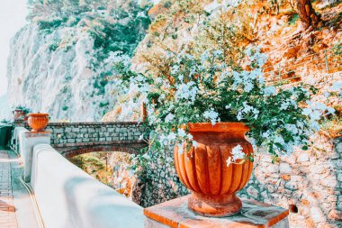 Capri Adası kasabasında Augustus Gardens Çiçekler