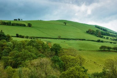 Snowdonia İngiltere'de tepeler ve dağlarda koyun ile Manzara