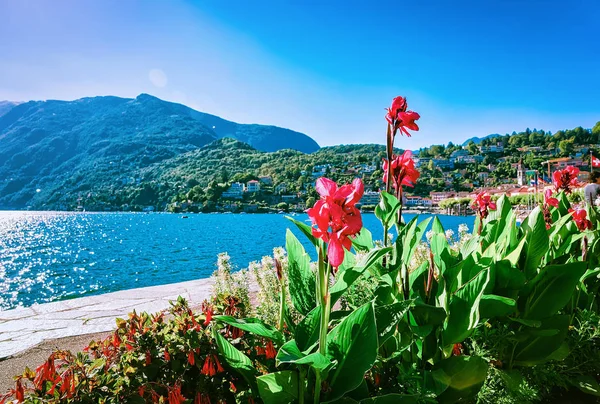 Flowers blooming in Ascona luxury tourist resort — Stock Photo, Image