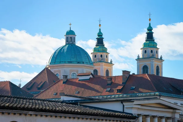 Lublaňská katedrála ve starém městě Slovinsko — Stock fotografie