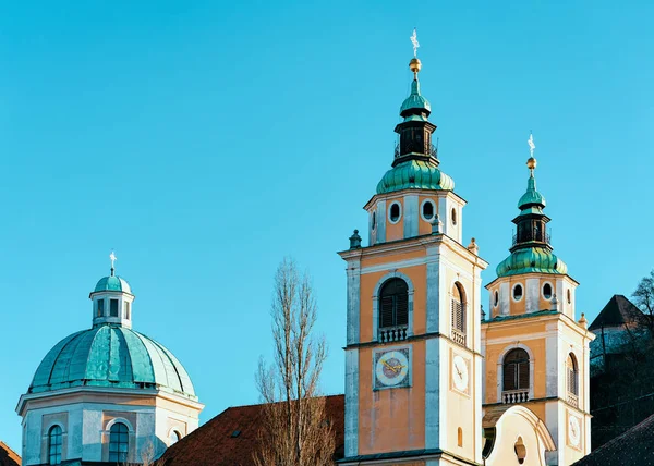 Любляна собор у Старому місті Словенія — стокове фото