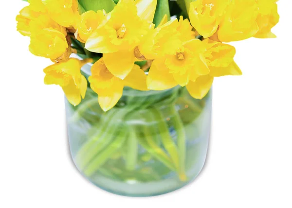 花瓶白色背景中的黄色水仙花 — 图库照片