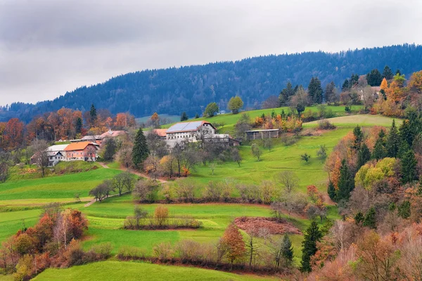 Beau paysage avec montagnes des Alpes près du lac de Bled en Slovénie — Photo