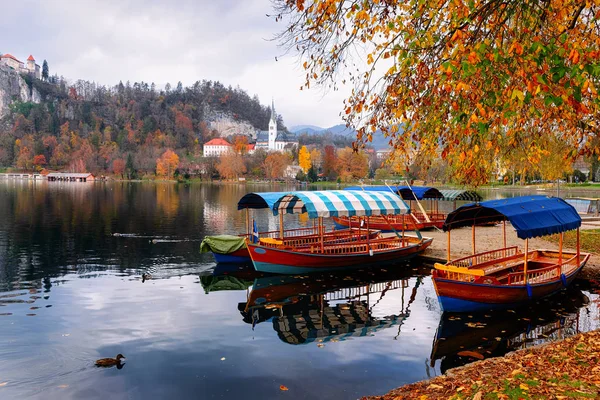 Hermoso paisaje de Bled Lake y Pletna barcos — Foto de Stock