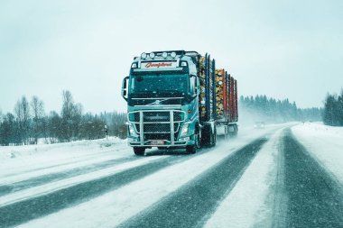 Laponya Avrupa Birliği Finlandiya Kamyon ahşap Karlı kış Yolu
