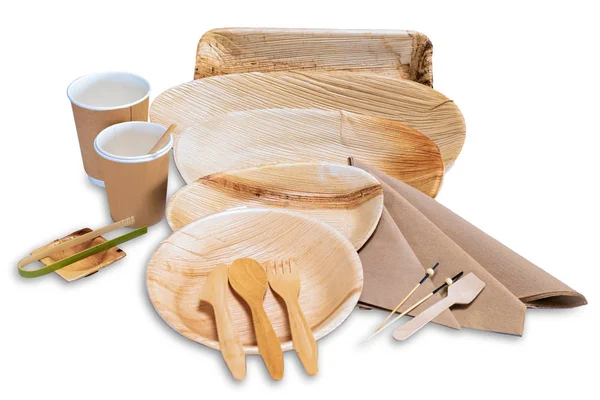 Fából készült, eldobható edények, tányérok és evőeszközkészlet piknikekkel — Stock Fotó