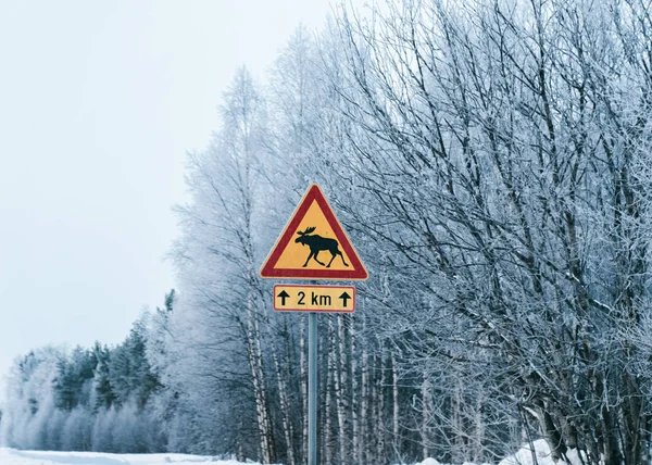 Peligro Reno Señal de tráfico en el campo camino nevado invierno Laponia —  Fotos de Stock