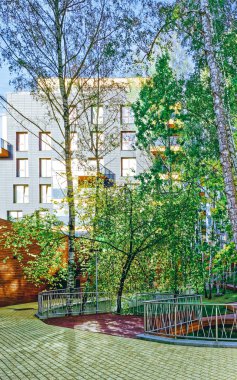 Avrupa Huş ağaçları ve Modern cam konut binası