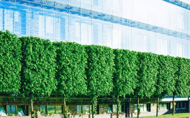 Eu Modern daire daire bina gayrimenkul mimarisi açık