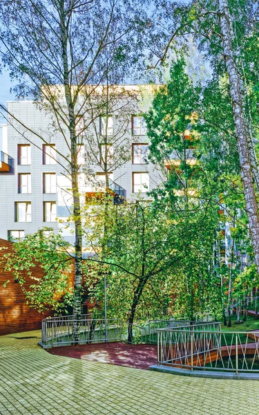 Avrupa Huş ağaçları ve Modern cam konut binası