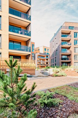 Çam ağacı, Modern mimari kompleks daire konut