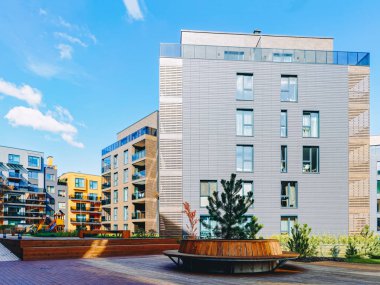 Apartman konut mimari kompleksinde Çam ağacı