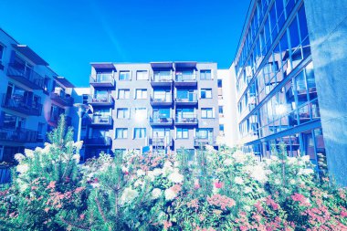 Yeni daire konut çiçek bitki ve açık hava tesisleri