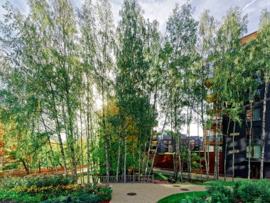 Huş ağaçları Modern cam konut binası