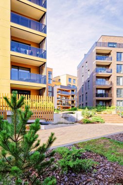 Çam ağacı, Modern mimari kompleks daire konut