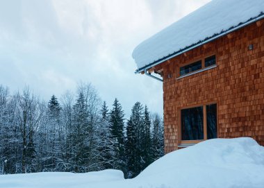 Bad Goisern Avusturya Ev mimarisi ve karlı kış manzara