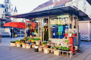 Hauptplatz Graz ekranda bahar çiçekleri ile Çiçekçi dükkanı