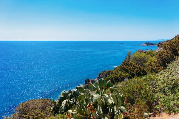 Paesaggio con spiaggia nel Mar Mediterraneo a Villasimius con cactus — Foto Stock