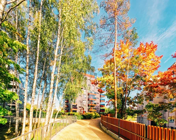 Huş ağaçları ve Modern cam konut apartman