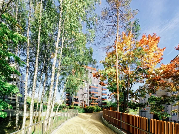 Huş ağaçları ve Modern cam konut apartman