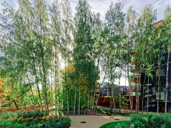 Huş ağaçları Modern cam konut binası