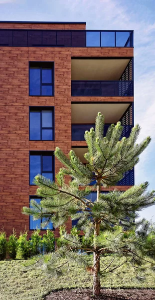 Apartmanların Modern mimari kompleksinde çam ağaçları