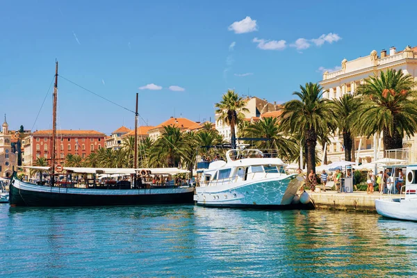 Split Eski şehir Palmiye ağaçları gemiler