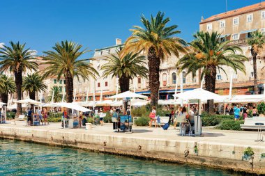 Split Eski şehir palmiye ağaçları altında Turistler
