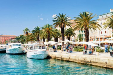Old city Split Adriyatik Sahili'ndeki Palmiye ağaçlarındaki gemiler