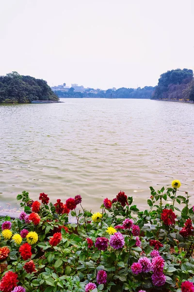 Flowers w: Hoan Kiem Sword Lake in Hanoi — Zdjęcie stockowe