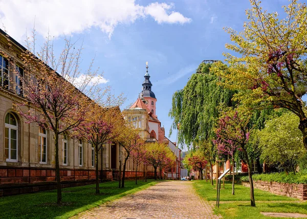 Pathway near Stiftskirche Collegiate church Baden Baden Baden Wurttemberg Germany — Stock Photo, Image