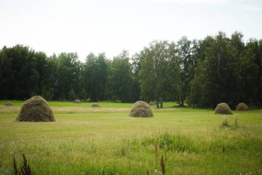 Yazın kırsalda saman yığınları