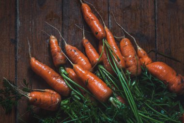 Organik bahçe havuçları taze toplanmış, üstünde havuç var.