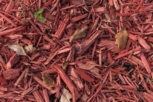 Colored sawdust mulch. Close-up background.