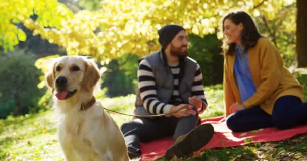 Primer plano del labrador y joven pareja atractiva sentada y hablando sobre el fondo borroso en el parque de principios de otoño. Paseando al perro. Al aire libre — Vídeo de stock