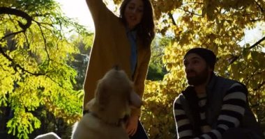 Bir atlama köpek ve sopa ile oynayan genç çift. Siluetleri güneş ışığı altında. Güzel park güneşli bir sonbahar. Açık havada