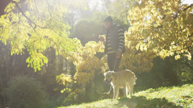 Akıllı telefonundan bir labrador üstünde kira kontratı güneşli bir sonbahar parkta yürürken kaydırma sakallı yakışıklı beyaz adam. Dışarıda