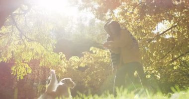 Genç çekici erkek ve kadın beyaz bir labrador ve pitoresk Sonbahar Park bir sopa ile oynarken eğleniyor. Güneşli bir gün. Açık havada