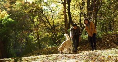 Tarafından sevimli beyaz labrador ile sonbahar park ortasında bir yol üstünde kira kontratı yürümek ve having fun genç neşeli ve sevimli çift. Güneşli bir gün. Açık havada